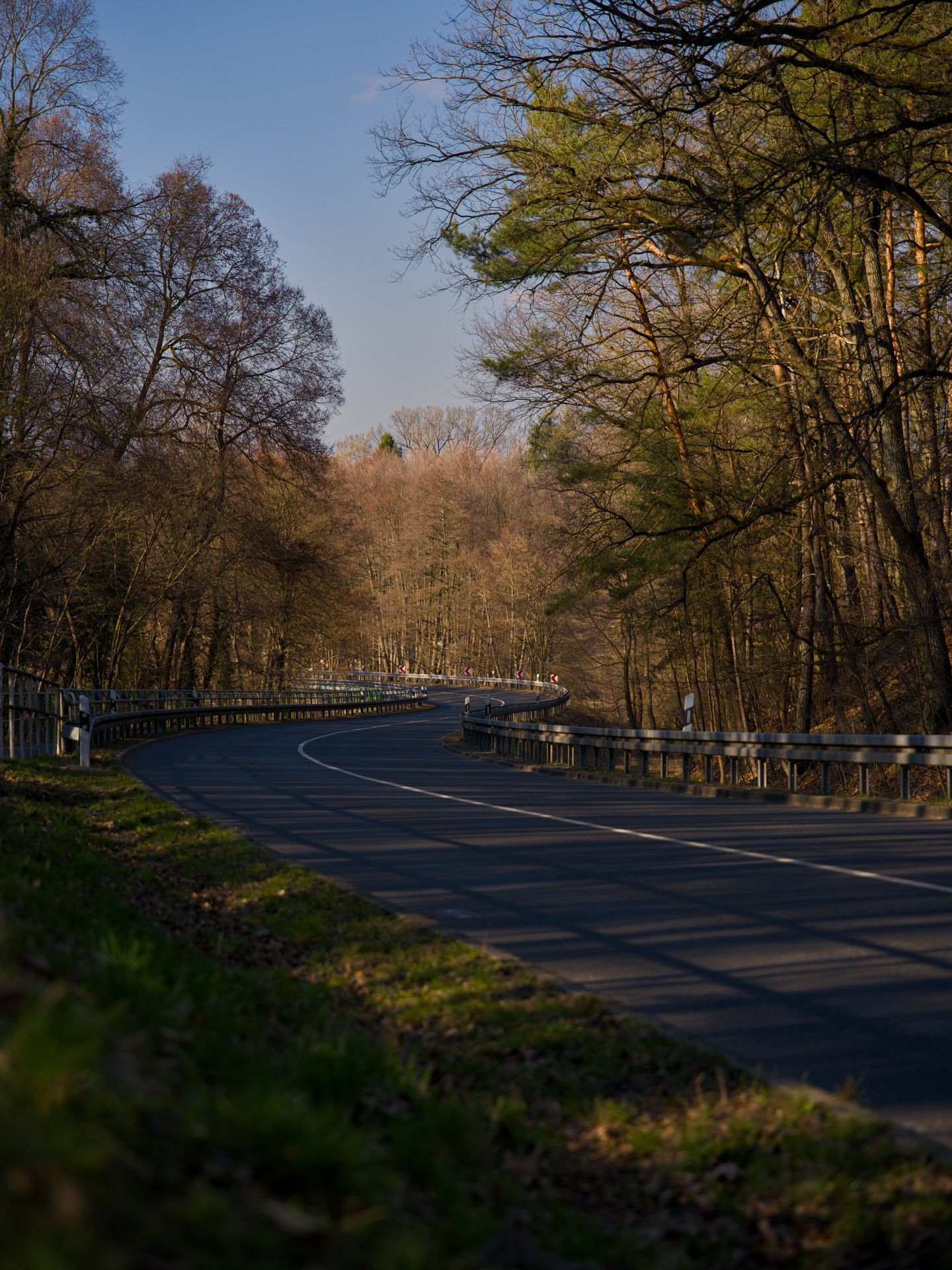 Waldstraße im goldenen Licht